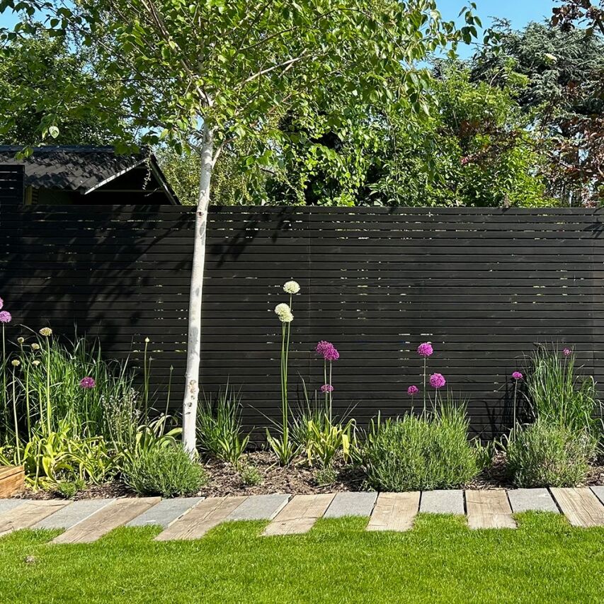 Black fence panel in a sunny garden with alliums.